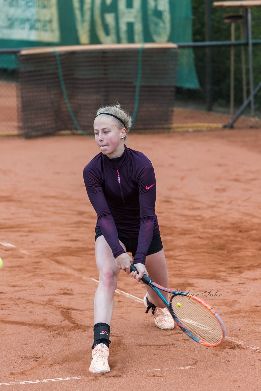 Bild 198 - NL VfL Westercelle - SVE Wiefelstede : Ergebnis: 8:1